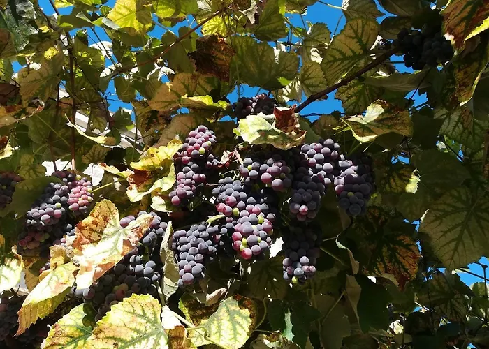 La Caveja Pietravairano